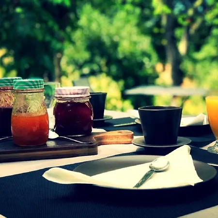 D'hotes Coursaint-pierre Bed & Breakfast Paulhiac