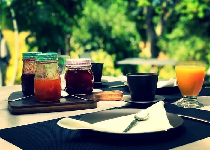 D'hotes Coursaint-pierre 住宿加早餐酒店 Paulhiac